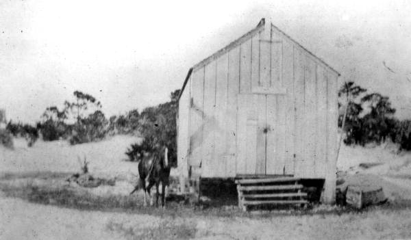 Horse standing next to an unidentified building on Saint George Island