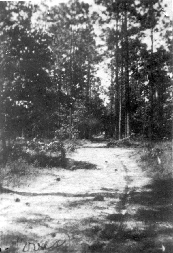 Lewis Avenue - Woodville (Leon County), Florida