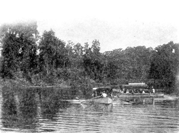 Boating at Silver Springs - Ocala, Florida