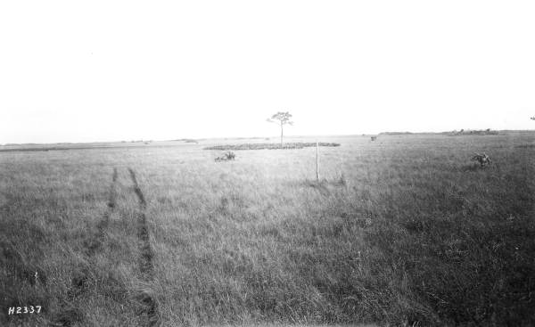Section 28 from northwest corner looking southeast - Tamiami Trail, Florida