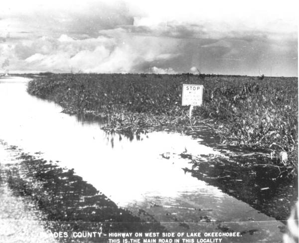 Flooded road - Glades County, Florida
