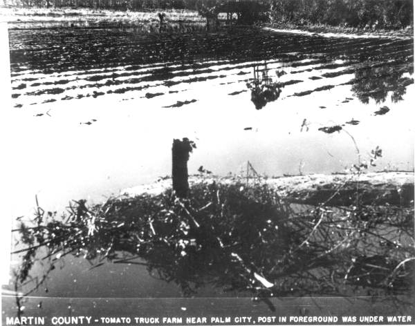 Flooded tomato truck farm - Martin County, Florida