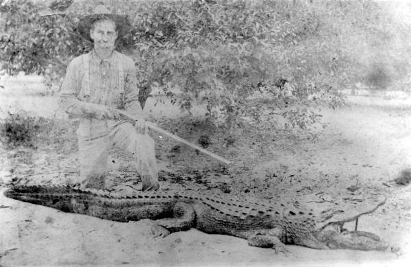 Clifford Lucky kneeling over an alligator he captured - Alva, Florida