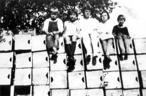 Children sitting on field boxes