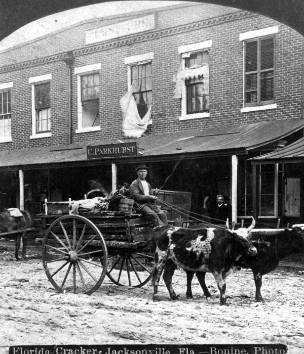 Ox pulled cart - Jacksonville, Florida