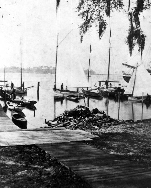 Sloops docked at Jacksonville harbor - Jacksonville, Florida.
