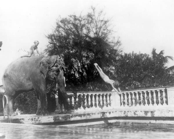Rosy being used as a diving platform - Miami Beach, Florida