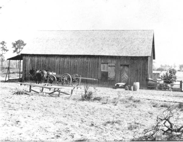 Wagon outside Skipper Brothers store - Frostproof, Florida