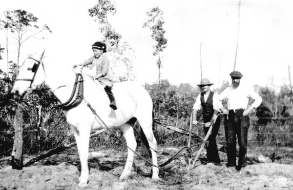 Norwegian farmers in America - Davenport, Florida