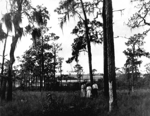 Immigrant settlers checking their land - Davenport, Florida