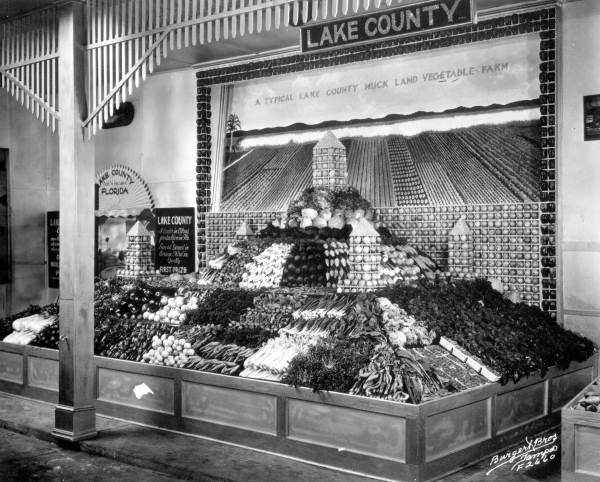 Lake County exhibit at the Florida State Fair in Tampa