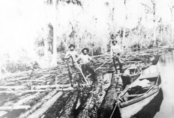 Making a cypress log raft on the Oklawaha River