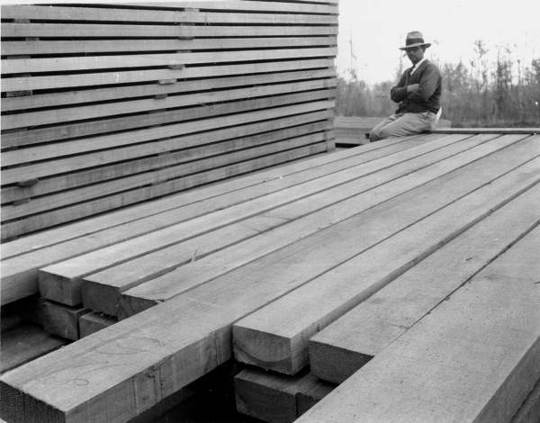 Man sitting on pine timbers at the Putnam Lumber Company - Shamrock, Florida