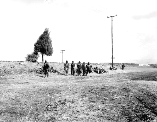 Sugar cane cutters