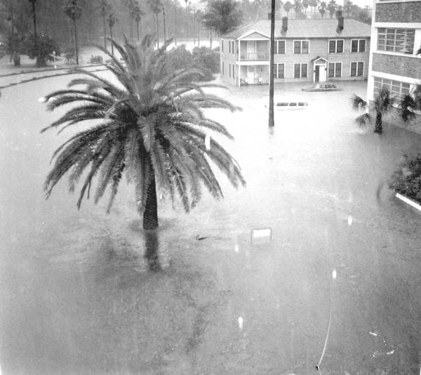 Flooding around the State Board of Health building - Jacksonville, Florida.