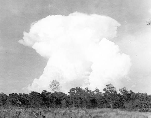 Large forest fire - Bay County, Florida