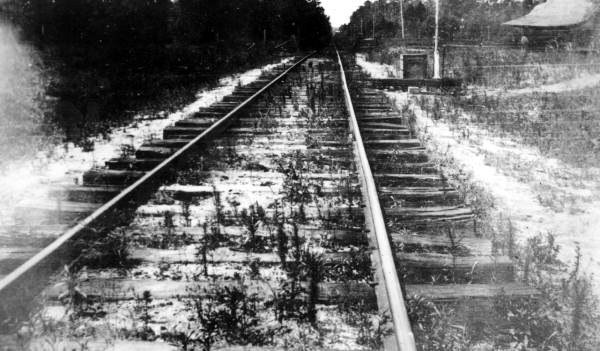 Looking down train tracks - Hernando County, Florida