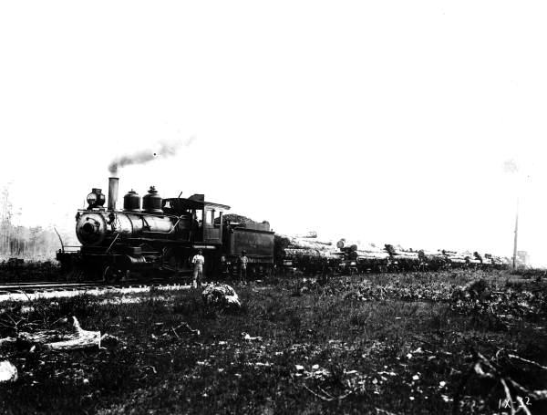 Burton-Swartz Cypress Company engine #8 hauling logs - Carbur, Florida