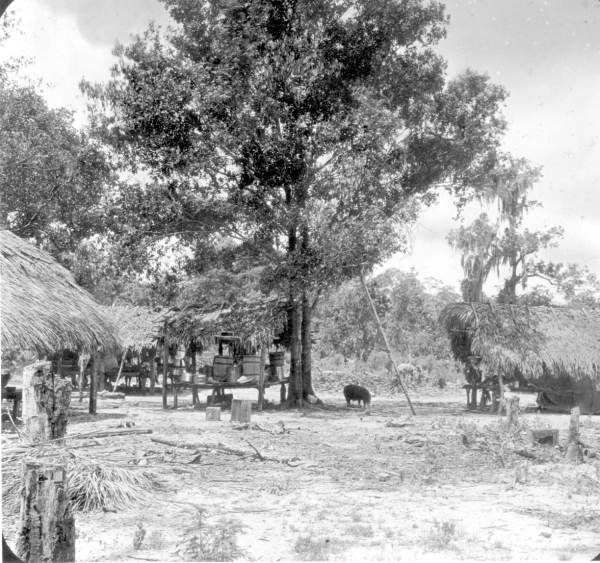 Seminole Indian village