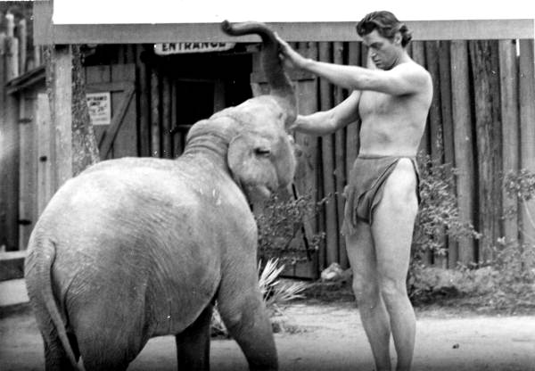 Johnny Weissmuller with elephant during filming - Silver Springs, Florida.
