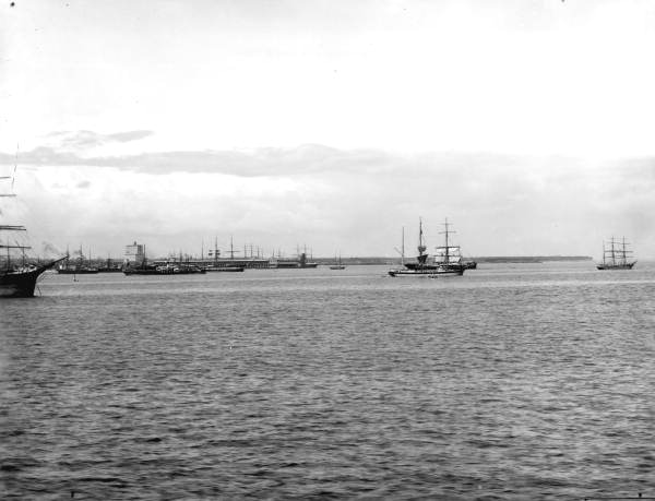 Sailing ships in the harbor - Pensacola, Florida.