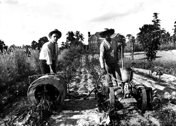 Men with equipment at the Agricultural Experiment Station farm - Gainesville, Florida