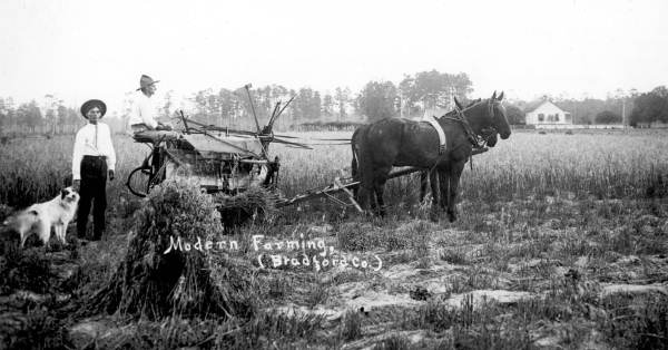 Hugh and Milton Brownlee baling hay on their farm - Bradford County, Florida