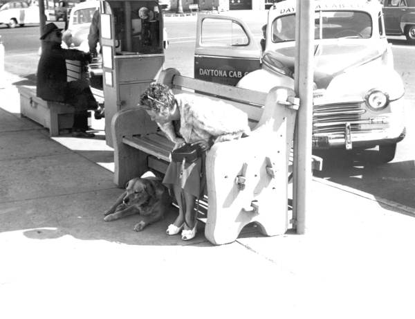 Tourist with "Brownie" the town dog - Daytona Beach, Florida
