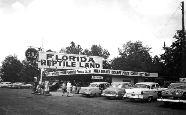 Gulf gas station at Florida Reptile Land - Taylor County, Florida