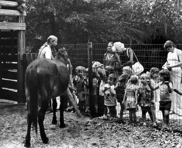 Small children observing mule at the Tallahassee Junior Museum.