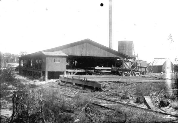 Bond Lumber Company sawmill - Glenwood, Florida