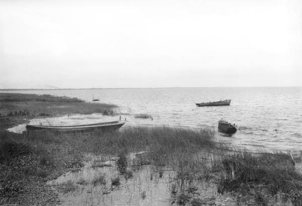 Looking out over Lake Okeechobee
