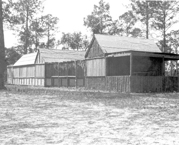 Wooden structures - Arcadia, Florida