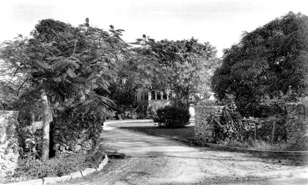 Anderson residence - Coral Gables, Florida