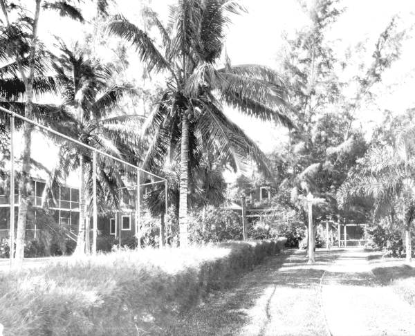 Rod & Gun Lodge - Everglades City, Florida