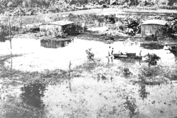 Flooded area - Everglades, Florida