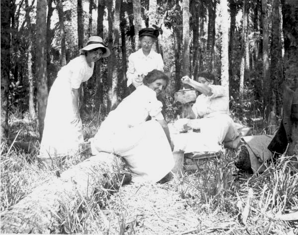 Andrew D. Gwynne Institute teachers on a picnic - Fort Myers, Florida