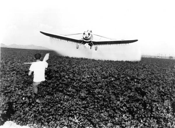 Piper aircraft, the Pawnee, at work dusting crops - Vero Beach, Florida