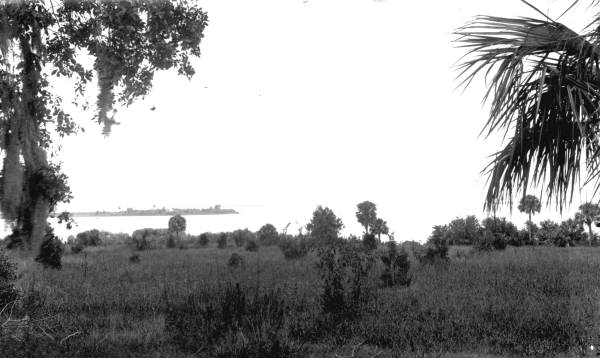 View of Lake Apopka.
