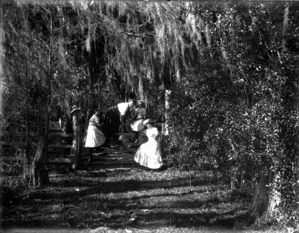 Women and girls on gate - Melrose, Florida