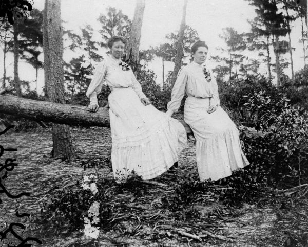 Myrta Maxon and friend sitting on a fallen tree - Saint Andrews, Florida