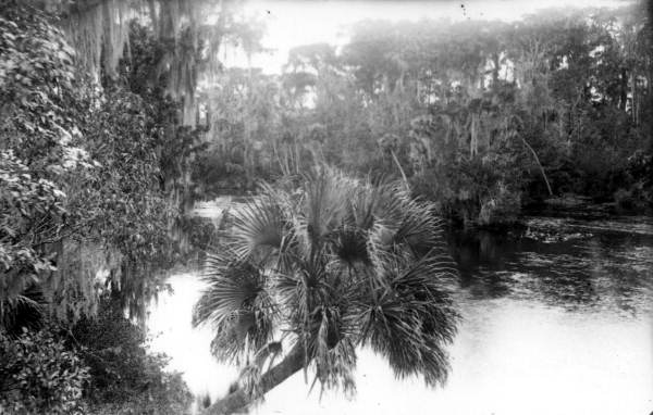 Natural scenery by unidentified river