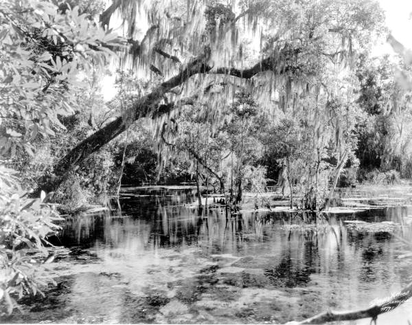 A scenic waterway