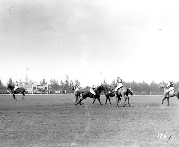Polo match - Miami Beach, Florida