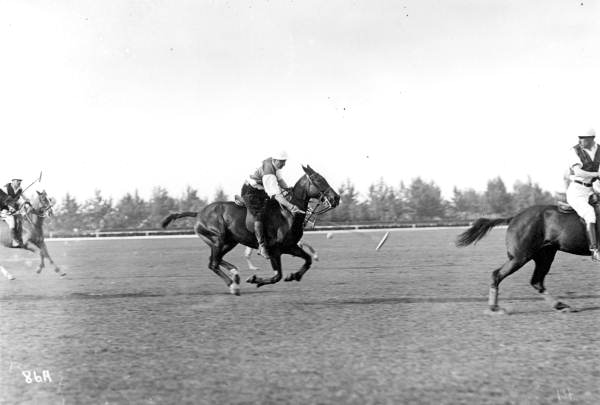 Polo match - Miami Beach, Florida