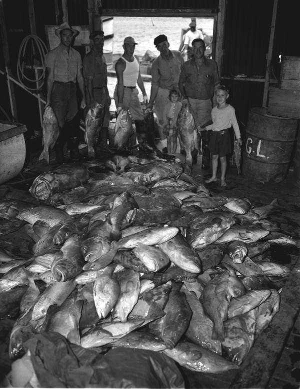 Group portrait of commercial fishermen with their catch in Mayport - Jacksonville, Florida.