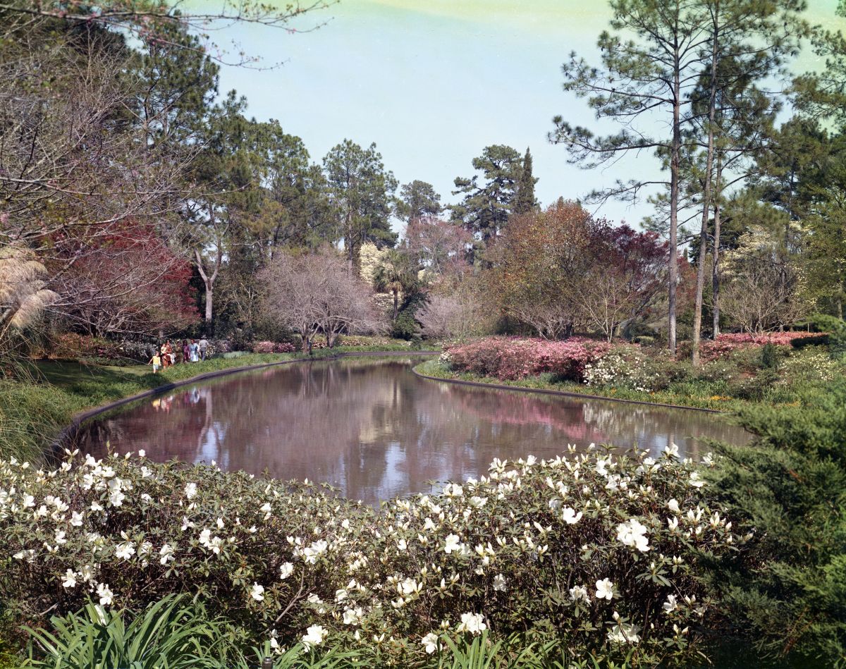 Scenic view at the Killearn Gardens State Park in Tallahassee.
