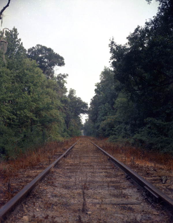 S.C.L. RR track between Tallahassee and St. Marks, Florida.