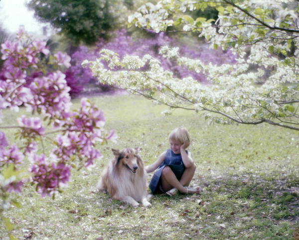 Unidentified girl with her pet Collie dog in Florida.