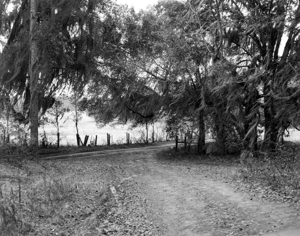 Roads wind through at Welaunee Plantation - Tallahassee, Florida .